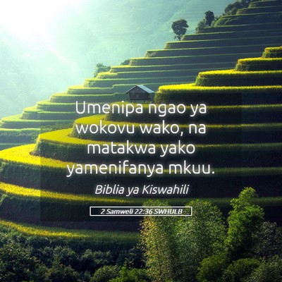 Picture 05 - 2 Samweli 22:36 SWHULB - Umenipa ngao ya wokovu wako, na matakwa yako - Bible Verse Picture
