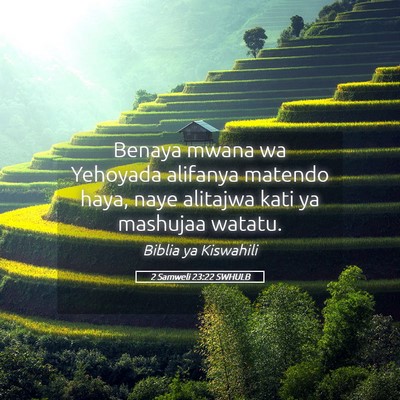 Picture 05 - 2 Samweli 23:22 SWHULB - Benaya mwana wa Yehoyada alifanya matendo haya, - Bible Verse Picture