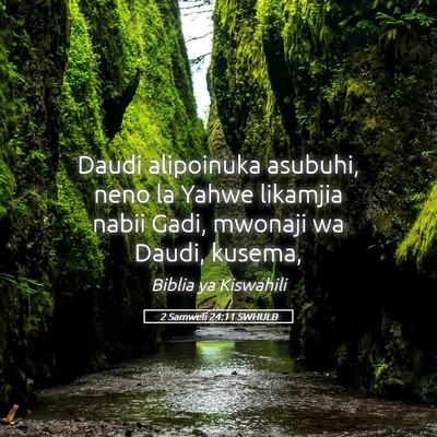 Picture 05 - 2 Samweli 24:11 SWHULB - Daudi alipoinuka asubuhi, neno la Yahwe likamjia - Bible Verse Picture