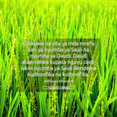 Picture 05 - 2 Samweli 3:1 SWHULB - Kulikuwa na vita ya mda mrefu kati ya nyumba ya - Bible Verse Picture