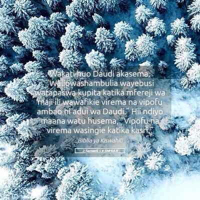 Picture 05 - 2 Samweli 5:8 SWHULB - Wakati huo Daudi akasema, “Waliowashambulia - Bible Verse Picture