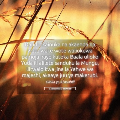 Picture 05 - 2 Samweli 6:2 SWHULB - Daudi akainuka na akaenda na watu wake wote - Bible Verse Picture