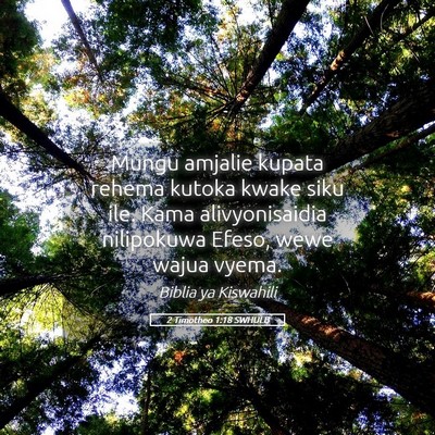 Picture 05 - 2 Timotheo 1:18 SWHULB - Mungu amjalie kupata rehema kutoka kwake siku - Bible Verse Picture