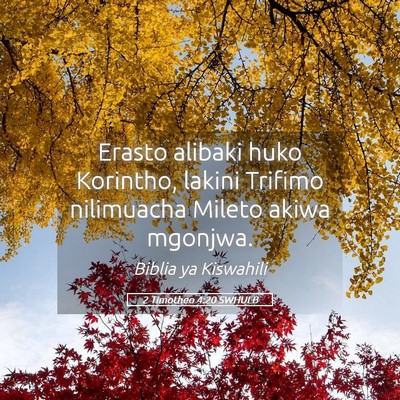 Picture 05 - 2 Timotheo 4:20 SWHULB - Erasto alibaki huko Korintho, lakini Trifimo - Bible Verse Picture