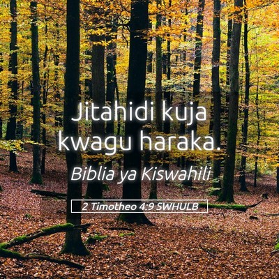 Picture 05 - 2 Timotheo 4:9 SWHULB - Jitahidi kuja kwagu - Bible Verse Picture