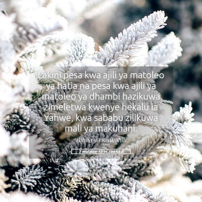 Picture 05 - 2 Wafalme 12:16 SWHULB - Lakini pesa kwa ajili ya matoleo ya hatia na pesa - Bible Verse Picture