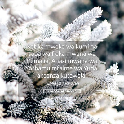 Picture 05 - 2 Wafalme 16:1 SWHULB - Katika mwaka wa kumi na saba wa Peka mwana wa - Bible Verse Picture