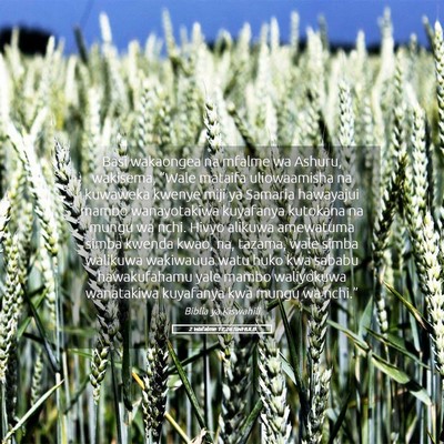 Picture 05 - 2 Wafalme 17:26 SWHULB - Basi wakaongea na mfalme wa Ashuru, wakisema, - Bible Verse Picture