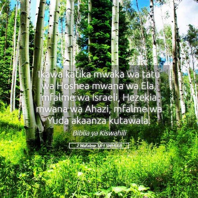Picture 05 - 2 Wafalme 18:1 SWHULB - Ikawa katika mwaka wa tatu wa Hoshea mwana wa - Bible Verse Picture