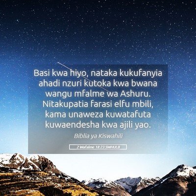Picture 05 - 2 Wafalme 18:23 SWHULB - Basi kwa hiyo, nataka kukufanyia ahadi nzuri - Bible Verse Picture