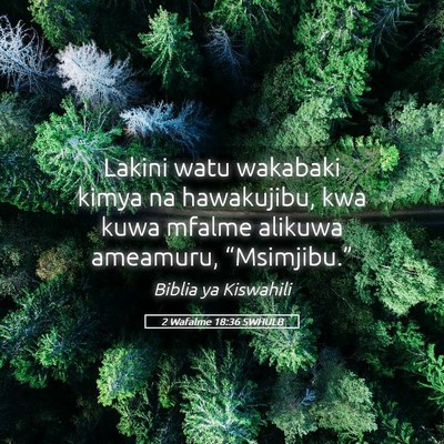 Picture 05 - 2 Wafalme 18:36 SWHULB - Lakini watu wakabaki kimya na hawakujibu, kwa - Bible Verse Picture