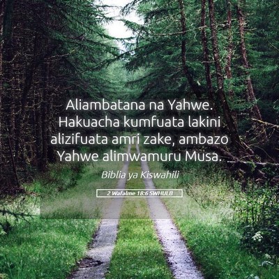 Picture 05 - 2 Wafalme 18:6 SWHULB - Aliambatana na Yahwe. Hakuacha kumfuata lakini - Bible Verse Picture