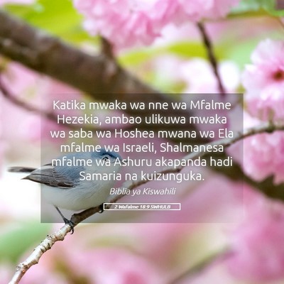 Picture 05 - 2 Wafalme 18:9 SWHULB - Katika mwaka wa nne wa Mfalme Hezekia, ambao - Bible Verse Picture