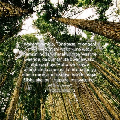 Picture 05 - 2 Wafalme 2:16 SWHULB - Wakamwambia, “Ona sasa, miongoni mwa watumishi - Bible Verse Picture