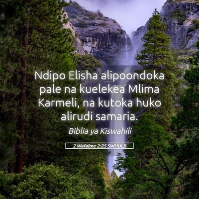 Picture 05 - 2 Wafalme 2:25 SWHULB - Ndipo Elisha alipoondoka pale na kuelekea Mlima - Bible Verse Picture