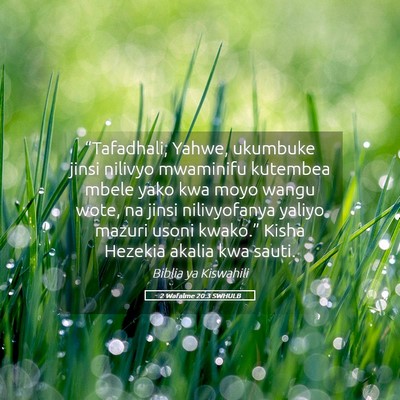 Picture 05 - 2 Wafalme 20:3 SWHULB - “Tafadhali, Yahwe, ukumbuke jinsi nilivyo - Bible Verse Picture