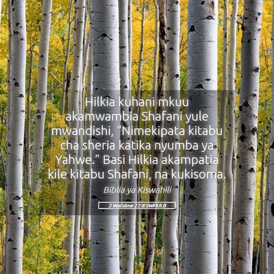 Picture 05 - 2 Wafalme 22:8 SWHULB - Hilkia kuhani mkuu akamwambia Shafani yule - Bible Verse Picture