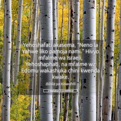 Picture 05 - 2 Wafalme 3:12 SWHULB - Yehoshafati akasema, “Neno la Yahwe liko pamoja - Bible Verse Picture