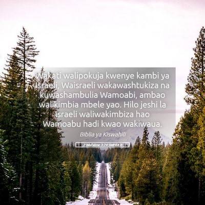 Picture 05 - 2 Wafalme 3:24 SWHULB - Wakati walipokuja kwenye kambi ya Israeli, - Bible Verse Picture