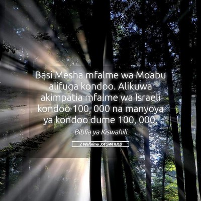 Picture 05 - 2 Wafalme 3:4 SWHULB - Basi Mesha mfalme wa Moabu alifuga kondoo. - Bible Verse Picture
