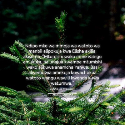 Picture 05 - 2 Wafalme 4:1 SWHULB - Ndipo mke wa mmoja wa watoto wa manbii alipokuja - Bible Verse Picture