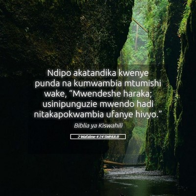 Picture 05 - 2 Wafalme 4:24 SWHULB - Ndipo akatandika kwenye punda na kumwambia - Bible Verse Picture