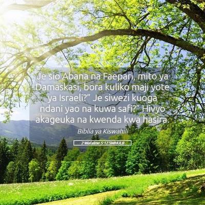 Picture 05 - 2 Wafalme 5:12 SWHULB - Je sio Abana na Faepari, mito ya Damaskasi, bora - Bible Verse Picture