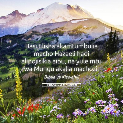 Picture 05 - 2 Wafalme 8:11 SWHULB - Basi Elisha akamtumbulia macho Hazaeli hadi - Bible Verse Picture