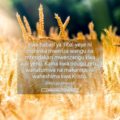 Picture 05 - 2 Wakorintho 8:23 SWHULB - Kwa habari ya Tito, yeye ni mshirika mwenza wangu - Bible Verse Picture
