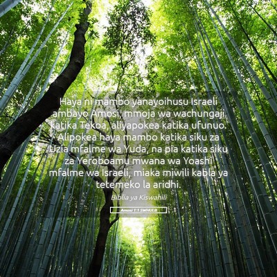 Picture 05 - Amosi 1:1 SWHULB - Haya ni mambo yanayoihusu Israeli ambayo Amosi, - Bible Verse Picture