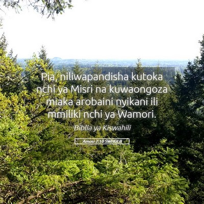 Picture 05 - Amosi 2:10 SWHULB - Pia, niliwapandisha kutoka nchi ya Misri na - Bible Verse Picture