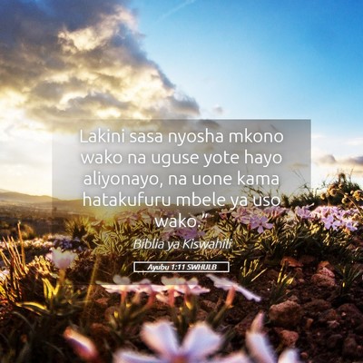 Picture 05 - Ayubu 1:11 SWHULB - Lakini sasa nyosha mkono wako na uguse yote hayo - Bible Verse Picture