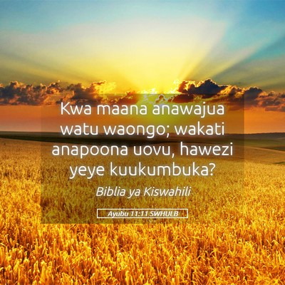 Picture 05 - Ayubu 11:11 SWHULB - Kwa maana anawajua watu waongo; wakati anapoona - Bible Verse Picture