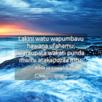 Picture 05 - Ayubu 11:12 SWHULB - Lakini watu wapumbavu hawana ufahamu; wataupata - Bible Verse Picture