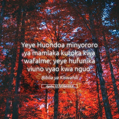 Picture 05 - Ayubu 12:18 SWHULB - Yeye Huondoa minyororo ya mamlaka kutoka kwa - Bible Verse Picture