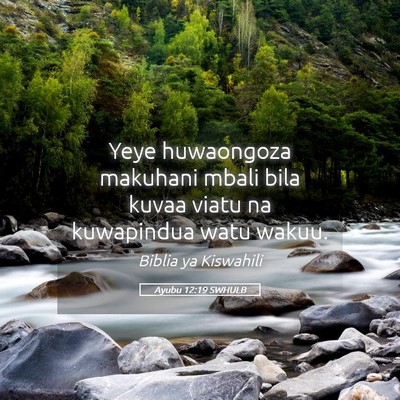 Picture 05 - Ayubu 12:19 SWHULB - Yeye huwaongoza makuhani mbali bila kuvaa viatu - Bible Verse Picture