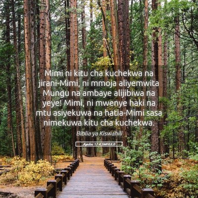 Picture 05 - Ayubu 12:4 SWHULB - Mimi ni kitu cha kuchekwa na jirani-Mimi, ni - Bible Verse Picture