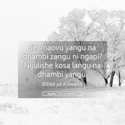 Picture 05 - Ayubu 13:23 SWHULB - Je, maovu yangu na dhambi zangu ni ngapi? - Bible Verse Picture
