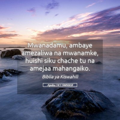 Picture 05 - Ayubu 14:1 SWHULB - Mwanadamu, ambaye amezaliwa na mwanamke, huishi - Bible Verse Picture
