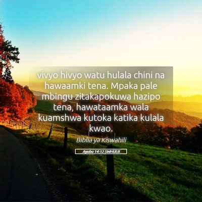 Picture 05 - Ayubu 14:12 SWHULB - vivyo hivyo watu hulala chini na hawaamki tena. - Bible Verse Picture