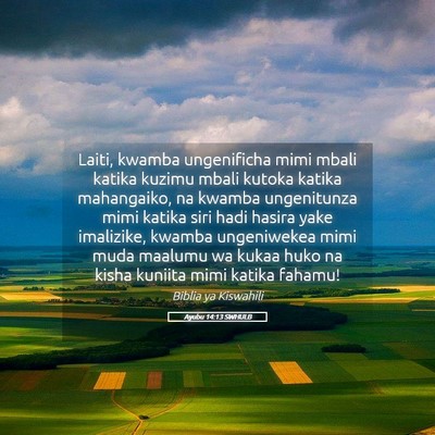 Picture 05 - Ayubu 14:13 SWHULB - Laiti, kwamba ungenificha mimi mbali katika - Bible Verse Picture