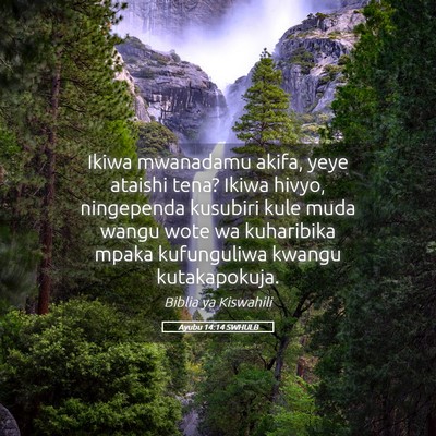 Picture 05 - Ayubu 14:14 SWHULB - Ikiwa mwanadamu akifa, yeye ataishi tena? Ikiwa - Bible Verse Picture