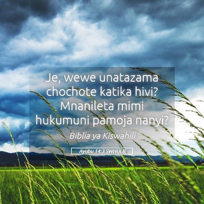 Picture 05 - Ayubu 14:3 SWHULB - Je, wewe unatazama chochote katika hivi? - Bible Verse Picture