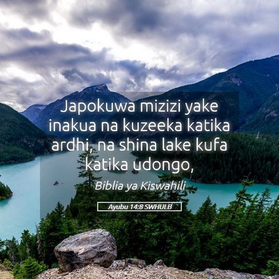 Picture 05 - Ayubu 14:8 SWHULB - Japokuwa mizizi yake inakua na kuzeeka katika - Bible Verse Picture