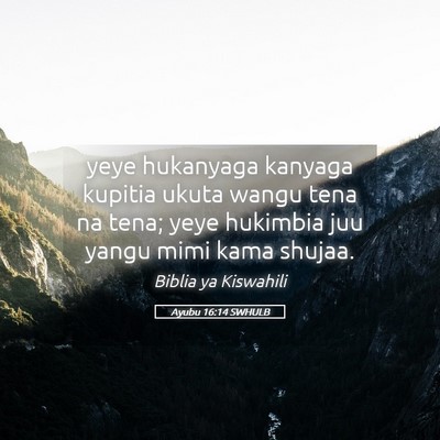 Picture 05 - Ayubu 16:14 SWHULB - yeye hukanyaga kanyaga kupitia ukuta wangu tena - Bible Verse Picture