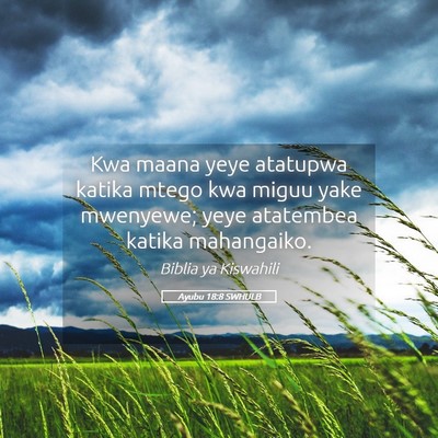 Picture 05 - Ayubu 18:8 SWHULB - Kwa maana yeye atatupwa katika mtego kwa miguu - Bible Verse Picture
