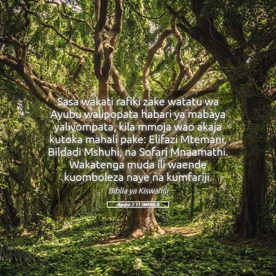 Picture 05 - Ayubu 2:11 SWHULB - Sasa wakati rafiki zake watatu wa Ayubu - Bible Verse Picture