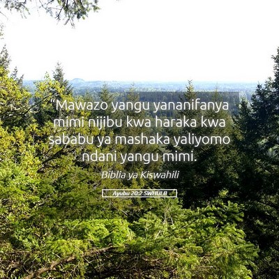 Picture 05 - Ayubu 20:2 SWHULB - “Mawazo yangu yananifanya mimi nijibu kwa - Bible Verse Picture