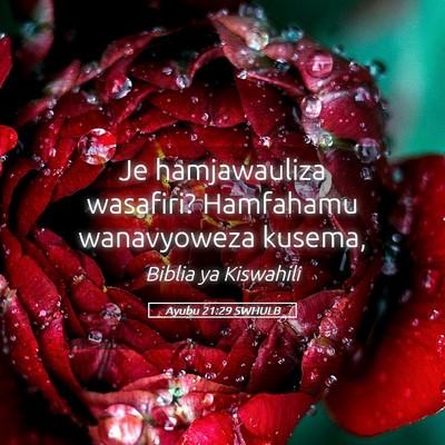 Picture 05 - Ayubu 21:29 SWHULB - Je hamjawauliza wasafiri? Hamfahamu wanavyoweza - Bible Verse Picture