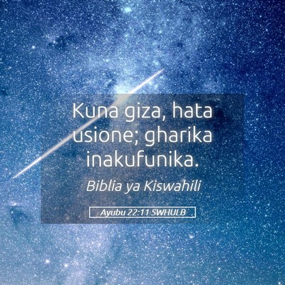 Picture 05 - Ayubu 22:11 SWHULB - Kuna giza, hata usione; gharika - Bible Verse Picture